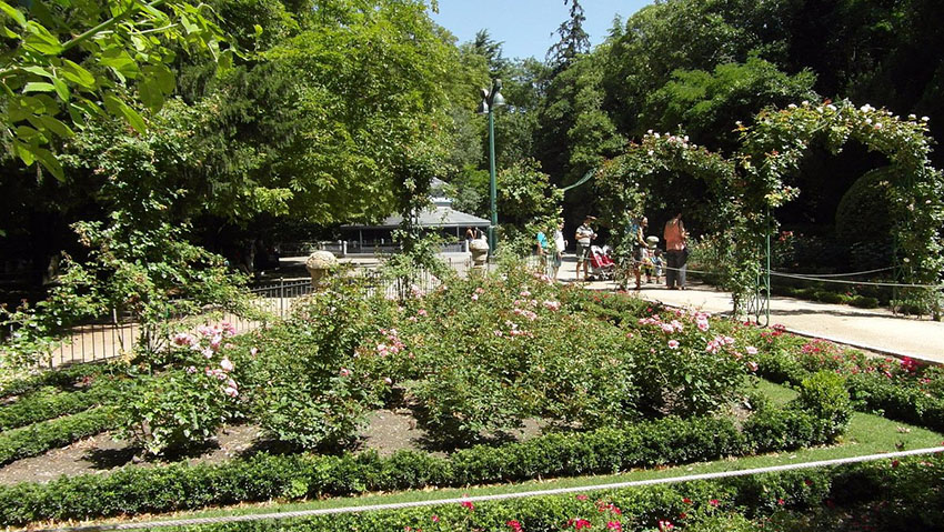 Город Вальядолид13