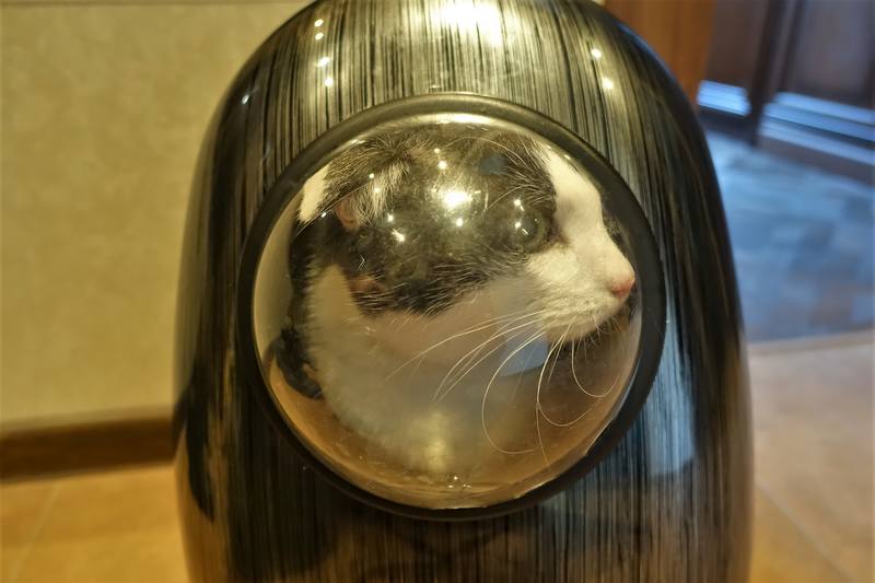 Дача