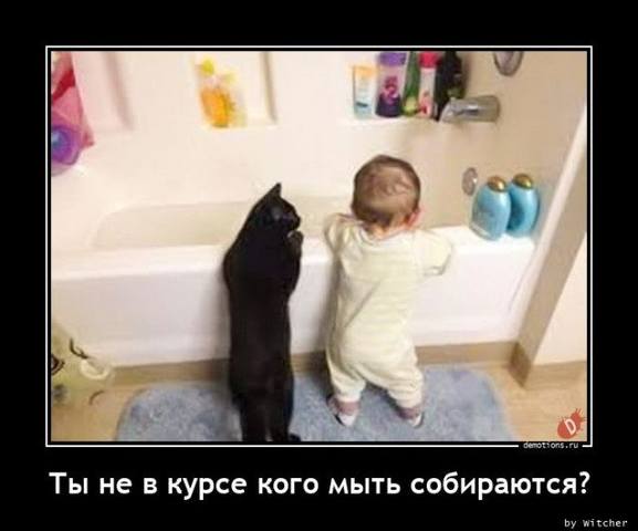 http://images.vfl.ru/ii/1624082612/00a1e5c5/34875285_m.jpg