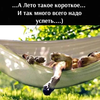 анекдот
