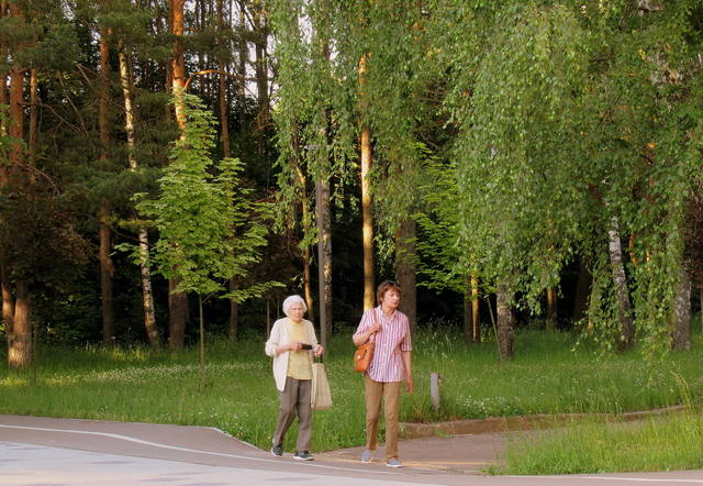 VFL.RU - ваш фотохостинг