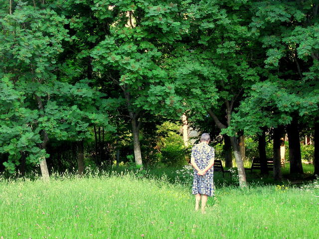 VFL.RU - ваш фотохостинг