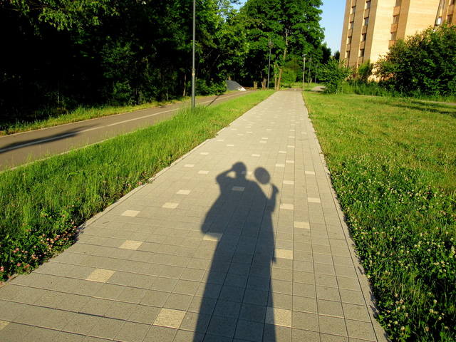 VFL.RU - ваш фотохостинг