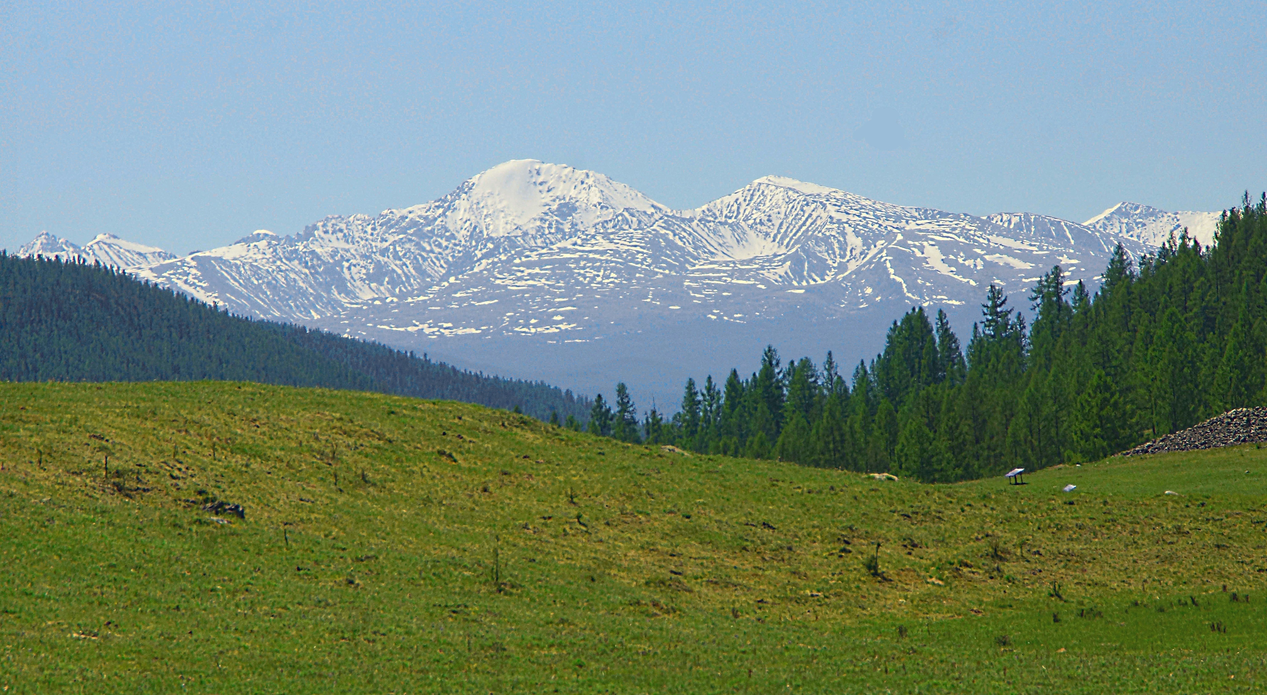 Абсолютная высота алтайских гор. Снежные горы Алтая. Филаретова гора Алтай. Терзи Алтай снежные горы. Старый горный Алтай.