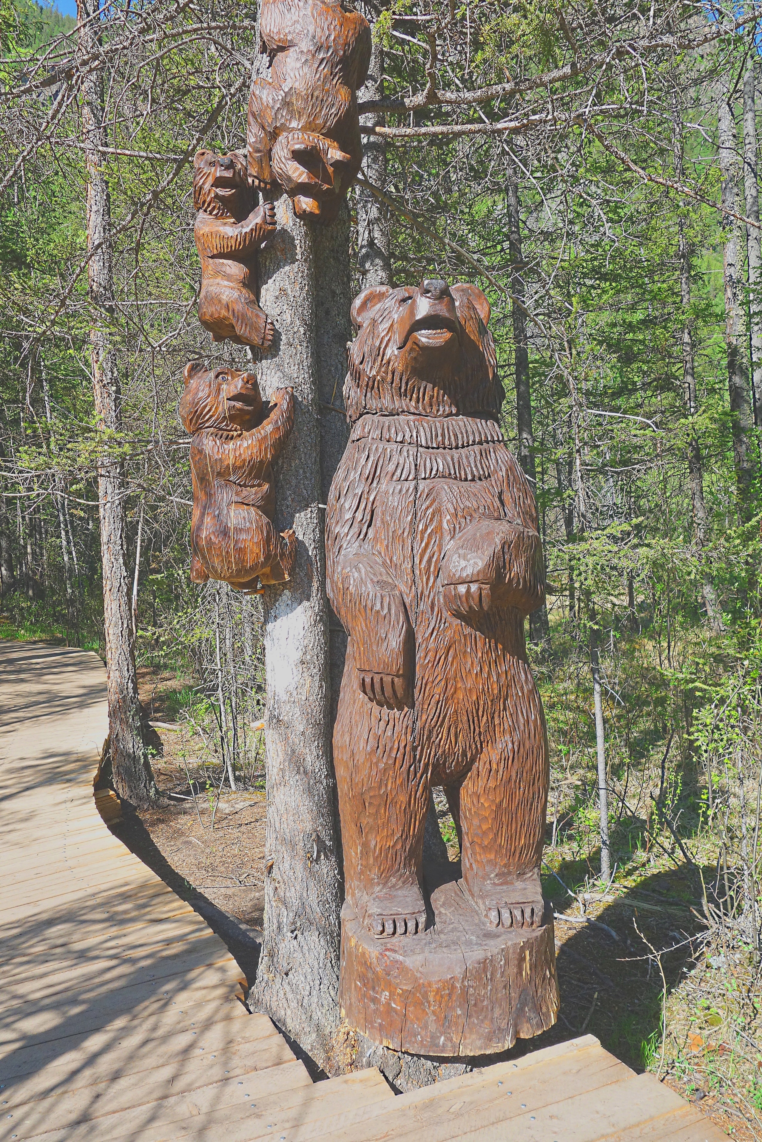 Деревянные фигуры у тропы, ведущей к Потаённому озеру. Фото Морошкина В.В.