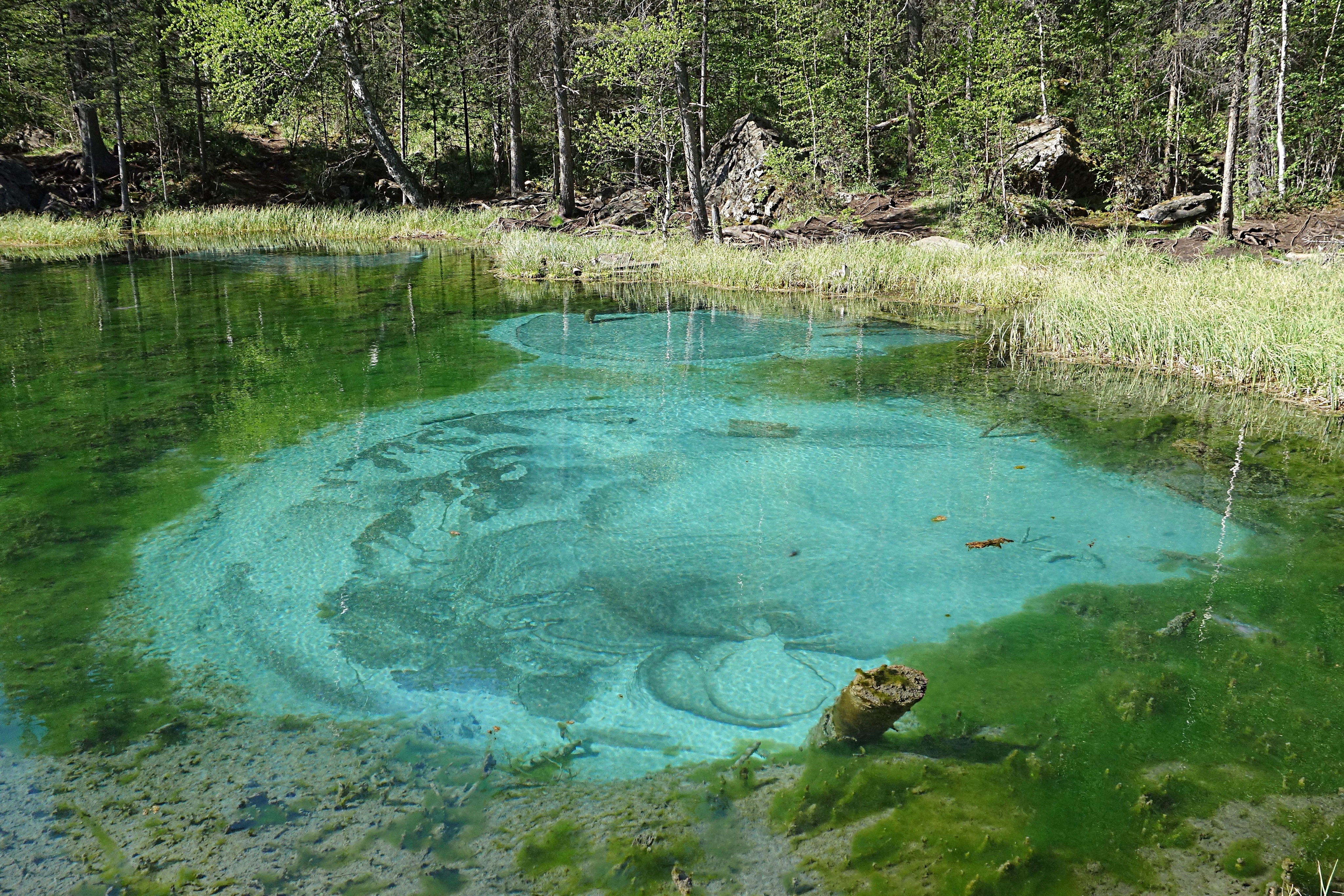 Бурлящее Потаённое озеро. Фото Морошкина В.В.