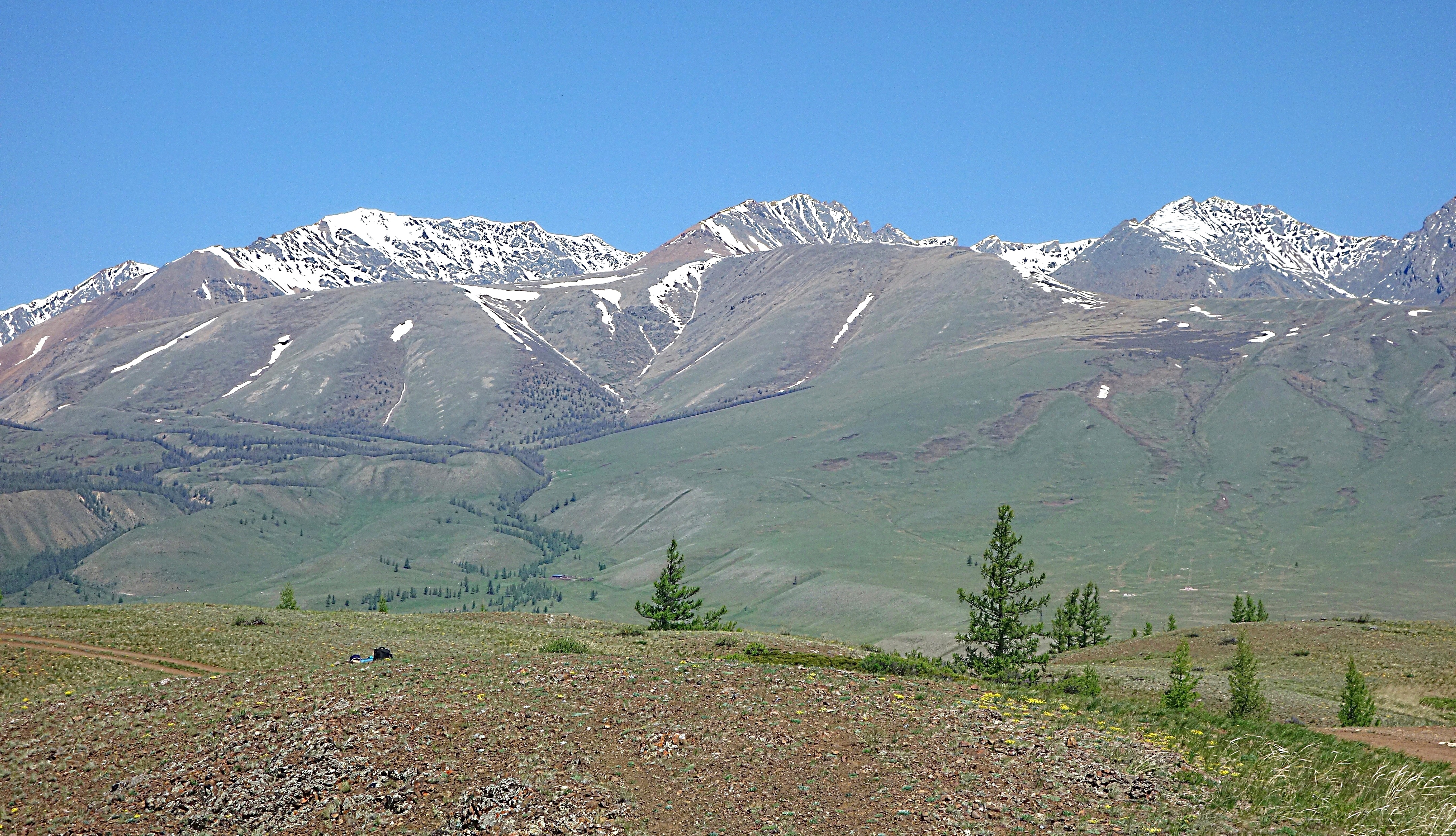 Горная цепь Курайского хр. над Чуйской долиной. Фото Морошкина В.В.