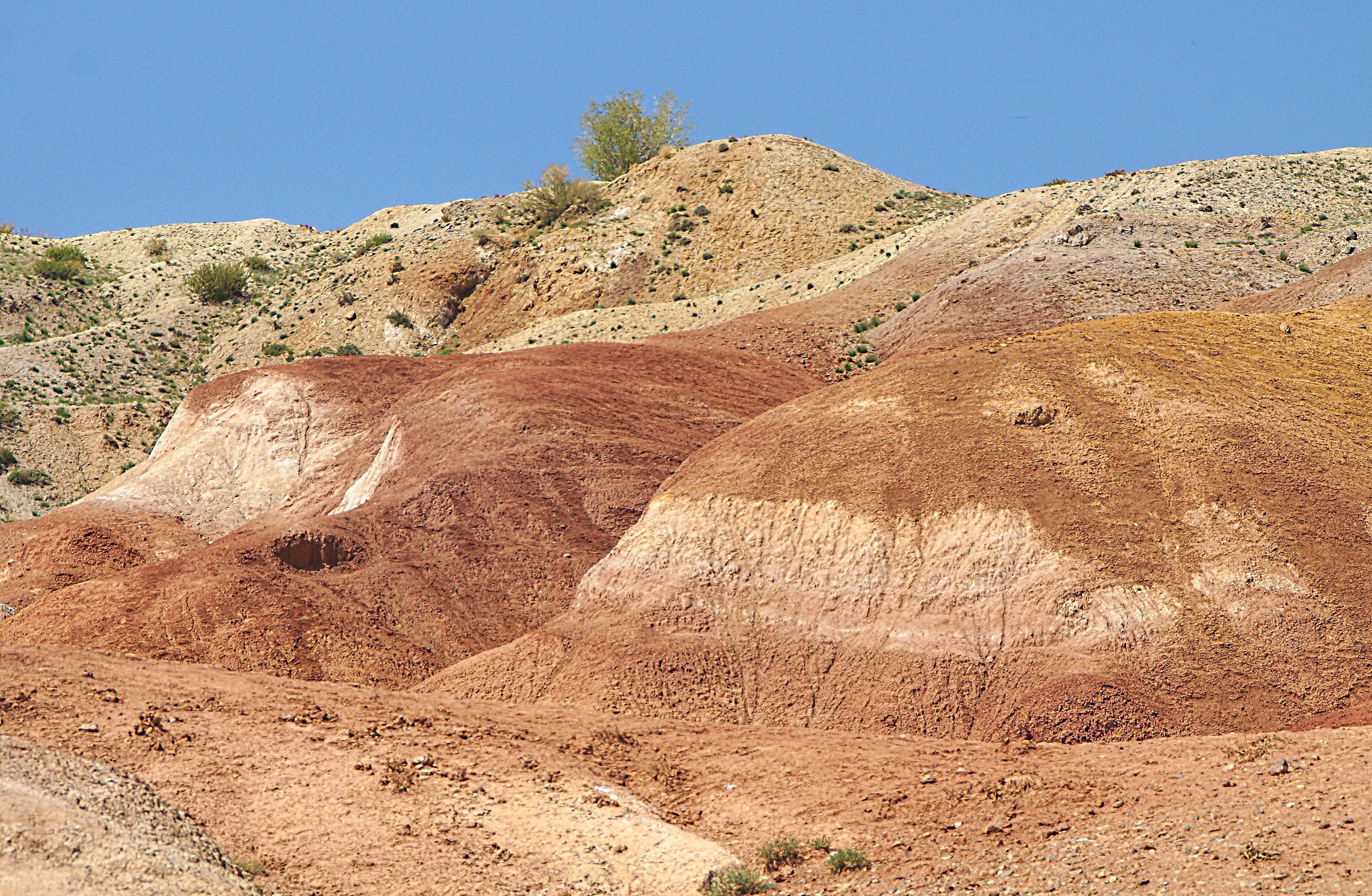 Красноцветные породы на Алтайском Марсе. Фото Морошкина В.В.