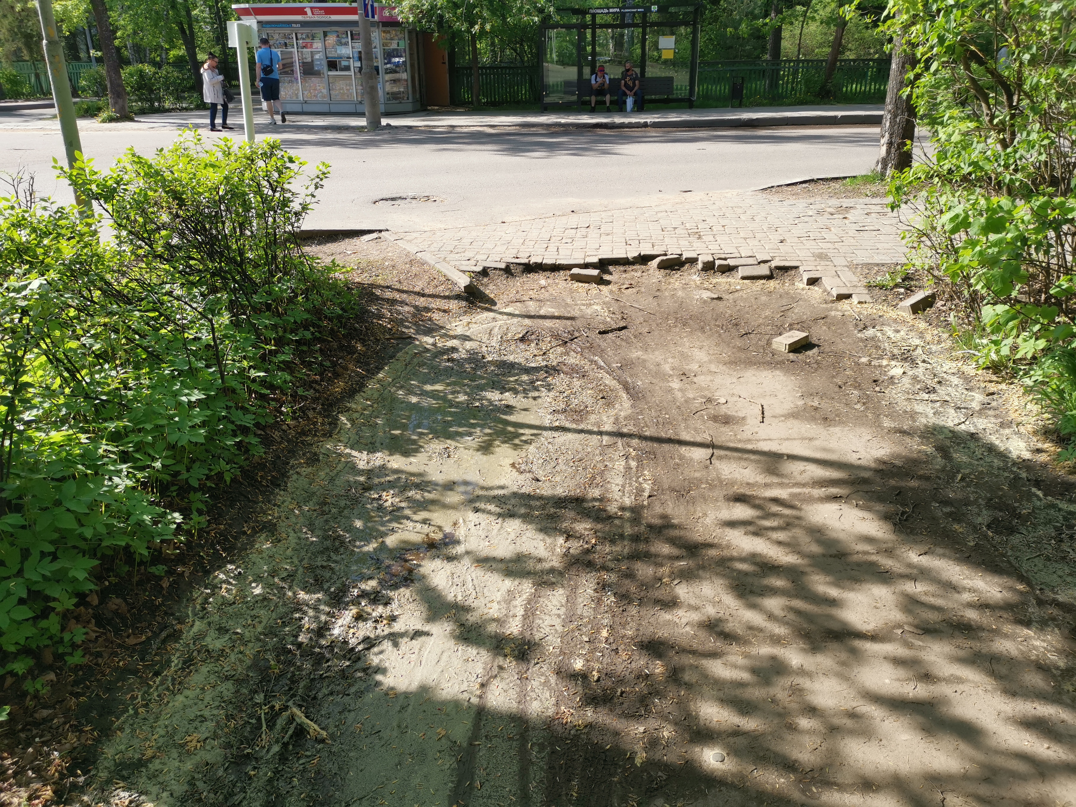 ямы на площади мира 6