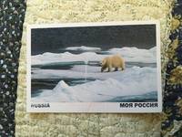 VFL.RU - ваш фотохостинг