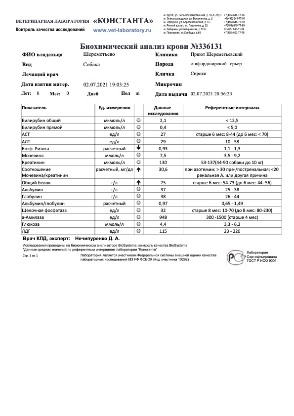 сироки1