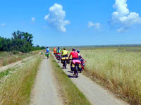 DSCF0950 2