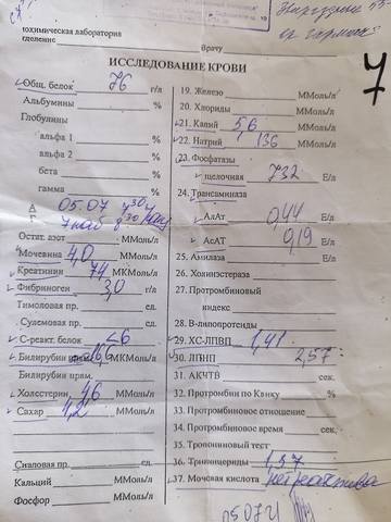 VFL.RU - ваш фотохостинг