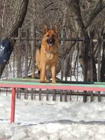 VFL.RU - ваш фотохостинг
