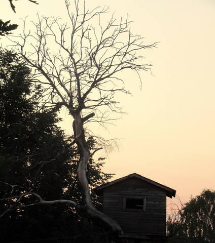 VFL.RU - ваш фотохостинг