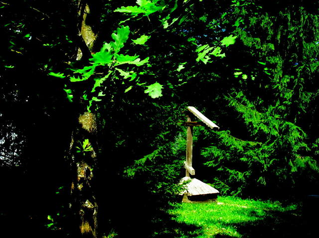 VFL.RU - ваш фотохостинг