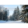 pavlovsk-zimoy-20 (1)