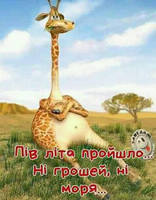 картинка1