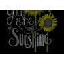 You are my sunshine3