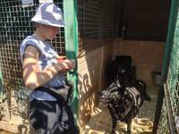 VFL.RU - ваш фотохостинг