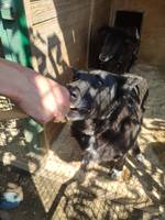 VFL.RU - ваш фотохостинг