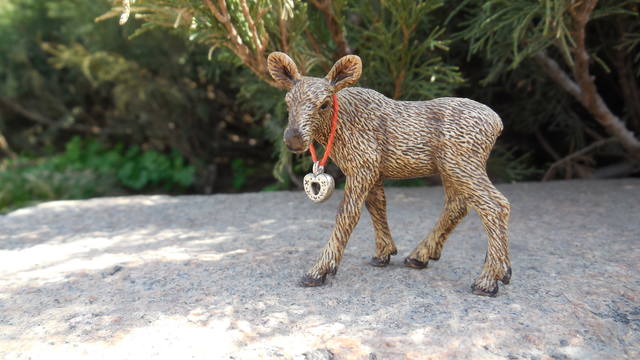 VFL.RU - ваш фотохостинг