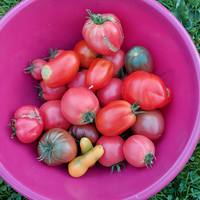 VFL.RU - ваш фотохостинг