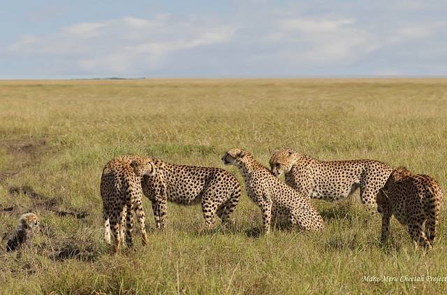 2-Nora-in-the-middle-surrounded-by-males 100