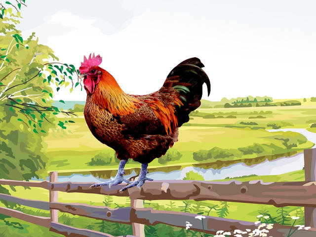 VFL.RU - ваш фотохостинг