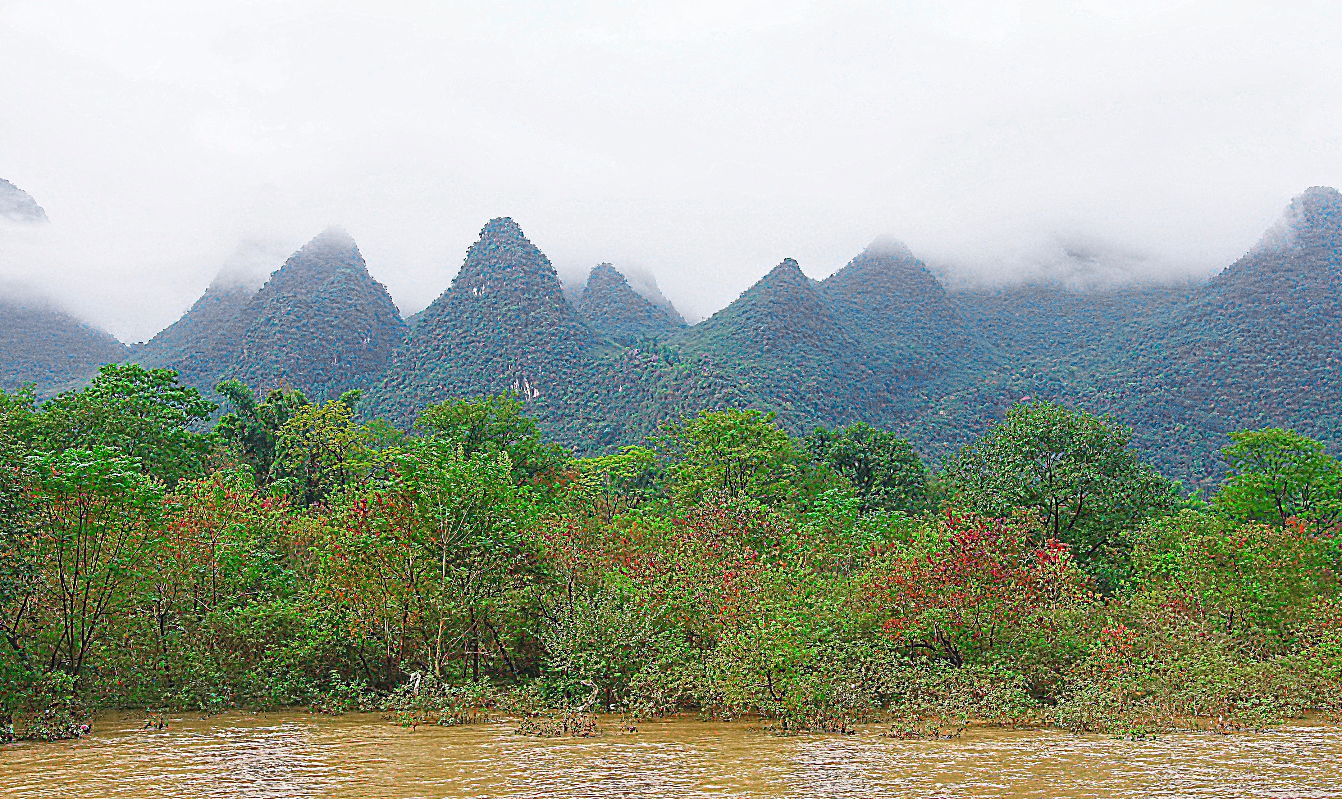 Тропические заросли в горах Гуйлиня. Фото Морошкина В.В.