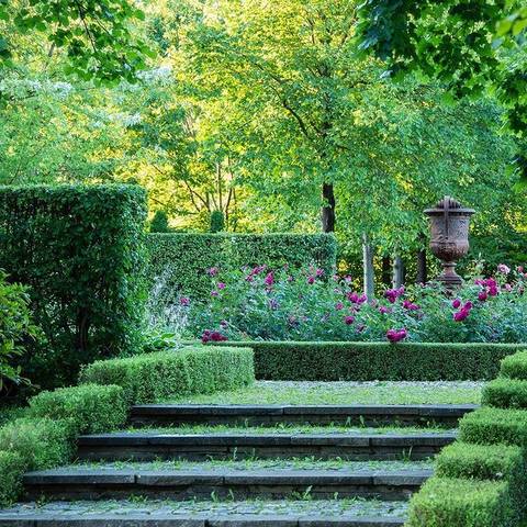 ������� ��������5