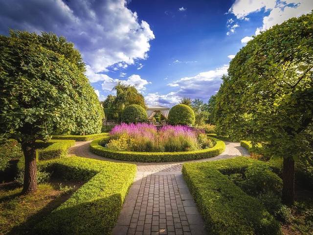 ������� ��������6