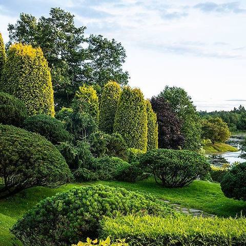 ������� ��������9