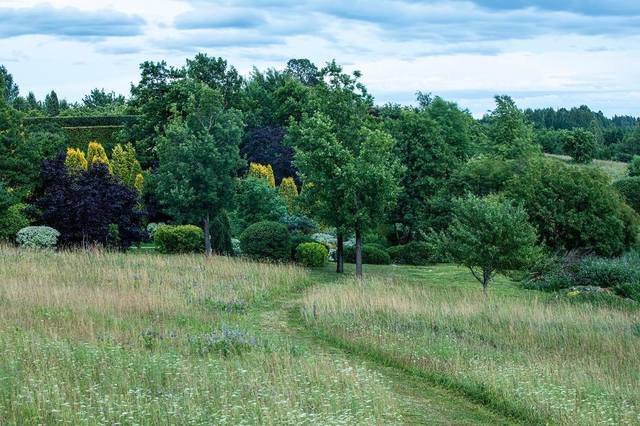 ������� ��������10