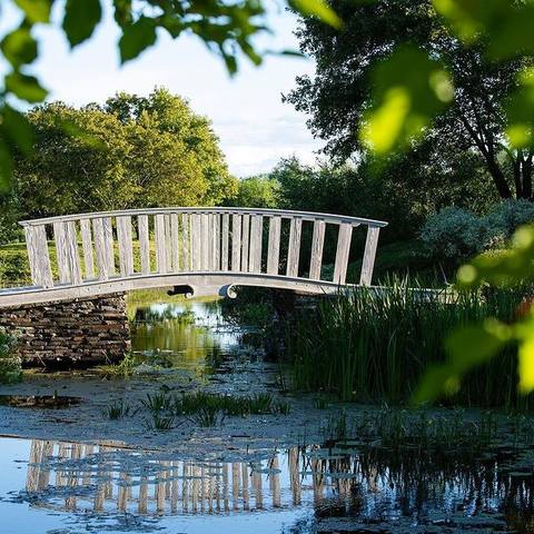 ������� ��������13