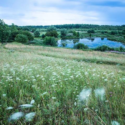 ������� ��������12