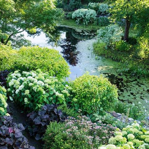 ������� ��������11