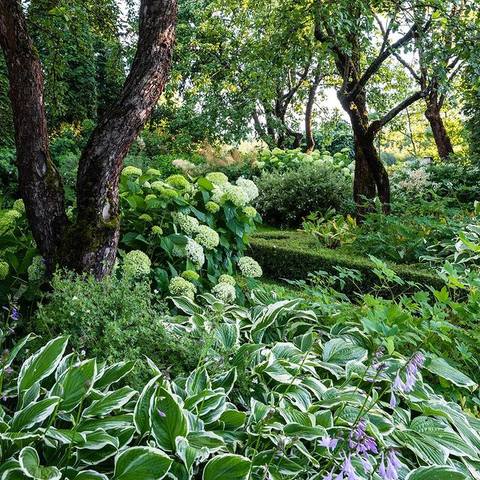 ������� ��������14