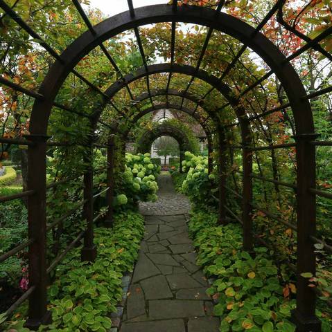 ������� ��������17-1