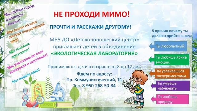 Внимание! Не проходите мимо!