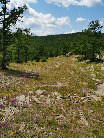 каменная дорога3