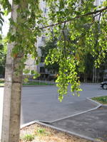 VFL.RU - ваш фотохостинг