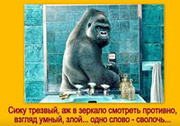 анекдот
