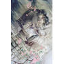 liep-diem-giang-ho-mong