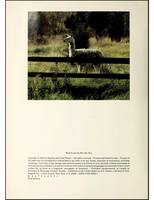 Page6