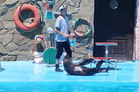 VFL.RU - ваш фотохостинг