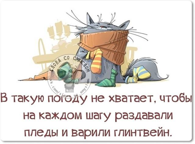 Погода прикольные картинки с надписями. Цитаты про погоду. Высказывания про погоду прикольные. Афоризмы про плохую погоду. Смешные цитаты про погоду.