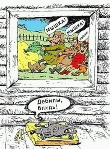 мышка