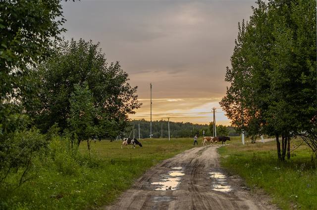 Вечер в деревне фото