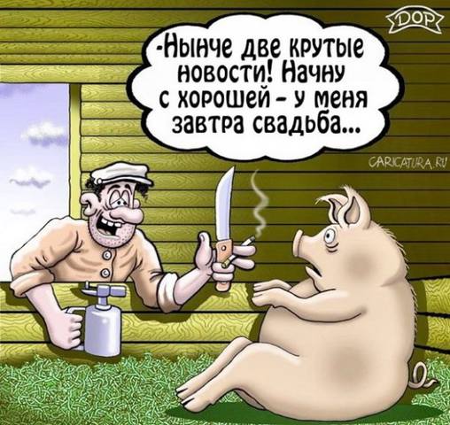 VFL.RU -  